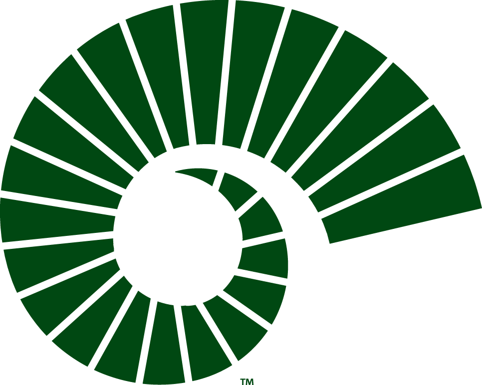 Colorado State Rams 2015-Pres Alternate Logo v2 diy iron on heat transfer